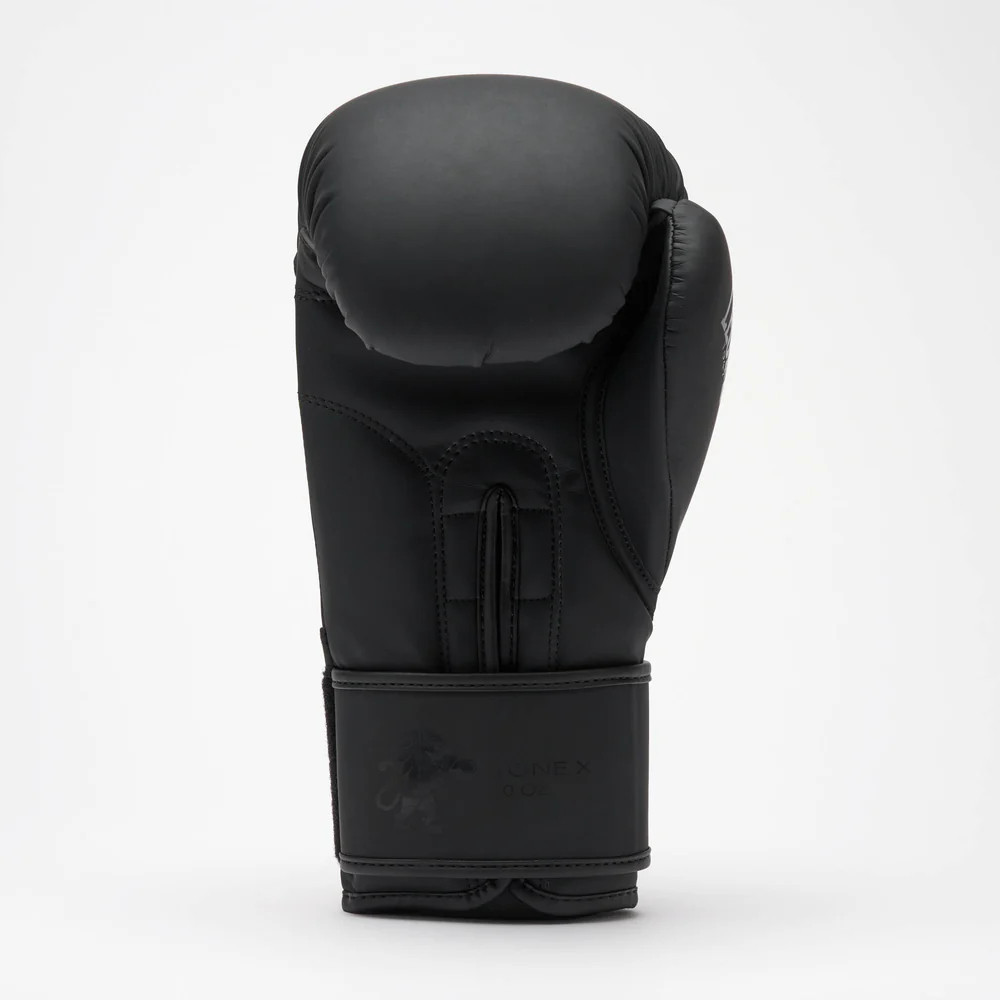 Боксерські рукавиці Leone GN058 TONE X Black 14 унцій (капу в комплекті)