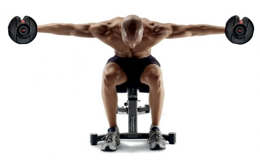 Набірні гантелі Bowflex SelectTech 552i (2-24кг) 2шт