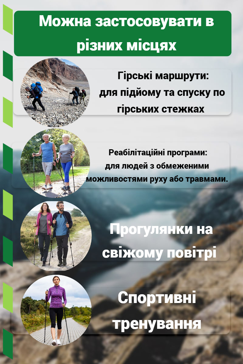 Палиці для скандинавської ходьби PowerPlay 9104 Lykke Black/White 80-135 см (пара)