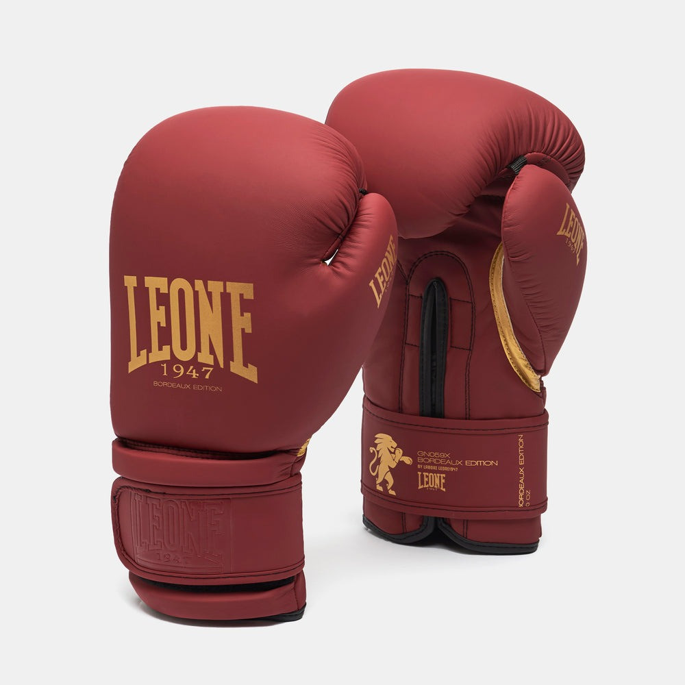 Боксерські рукавиці Leone GN059X BORDEAUX ED 14 унцій