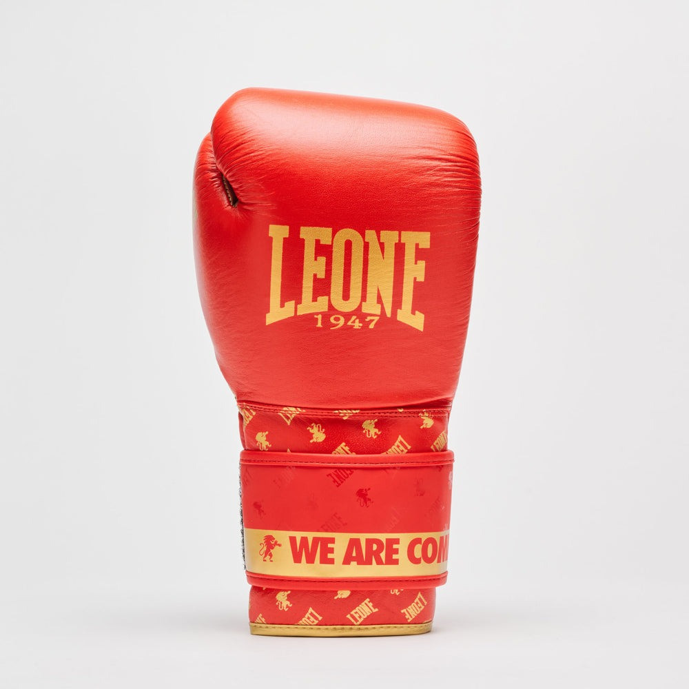 Боксерські рукавиці Leone GN220 DNA Red 10 унцій