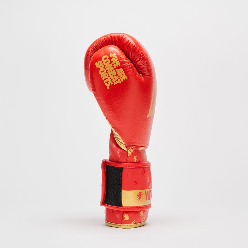 Боксерські рукавиці Leone GN220 DNA Red 10 унцій