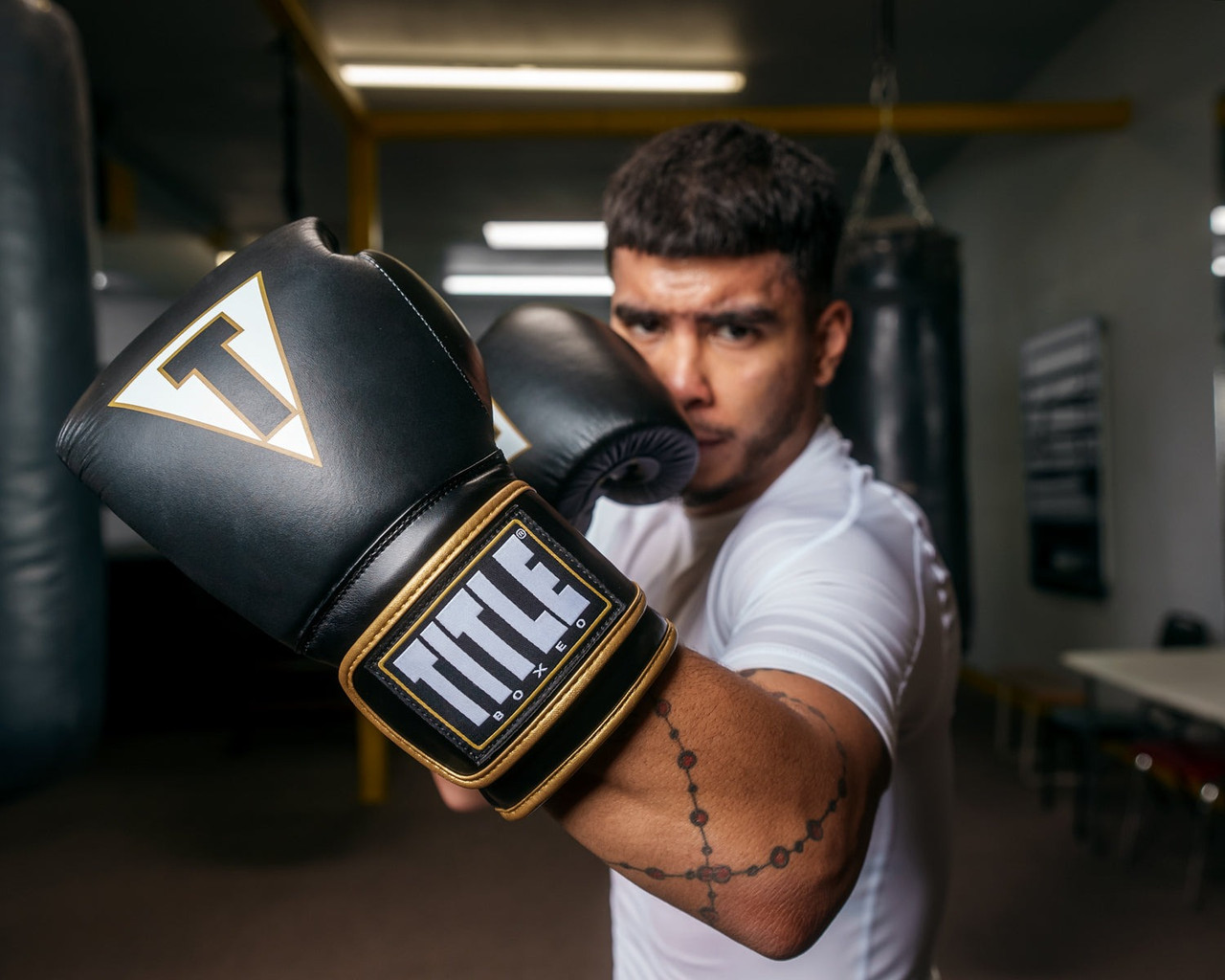 Боксерські рукавиці TITLE Boxeo Mexican Leather Quatro Black/White 12 oz