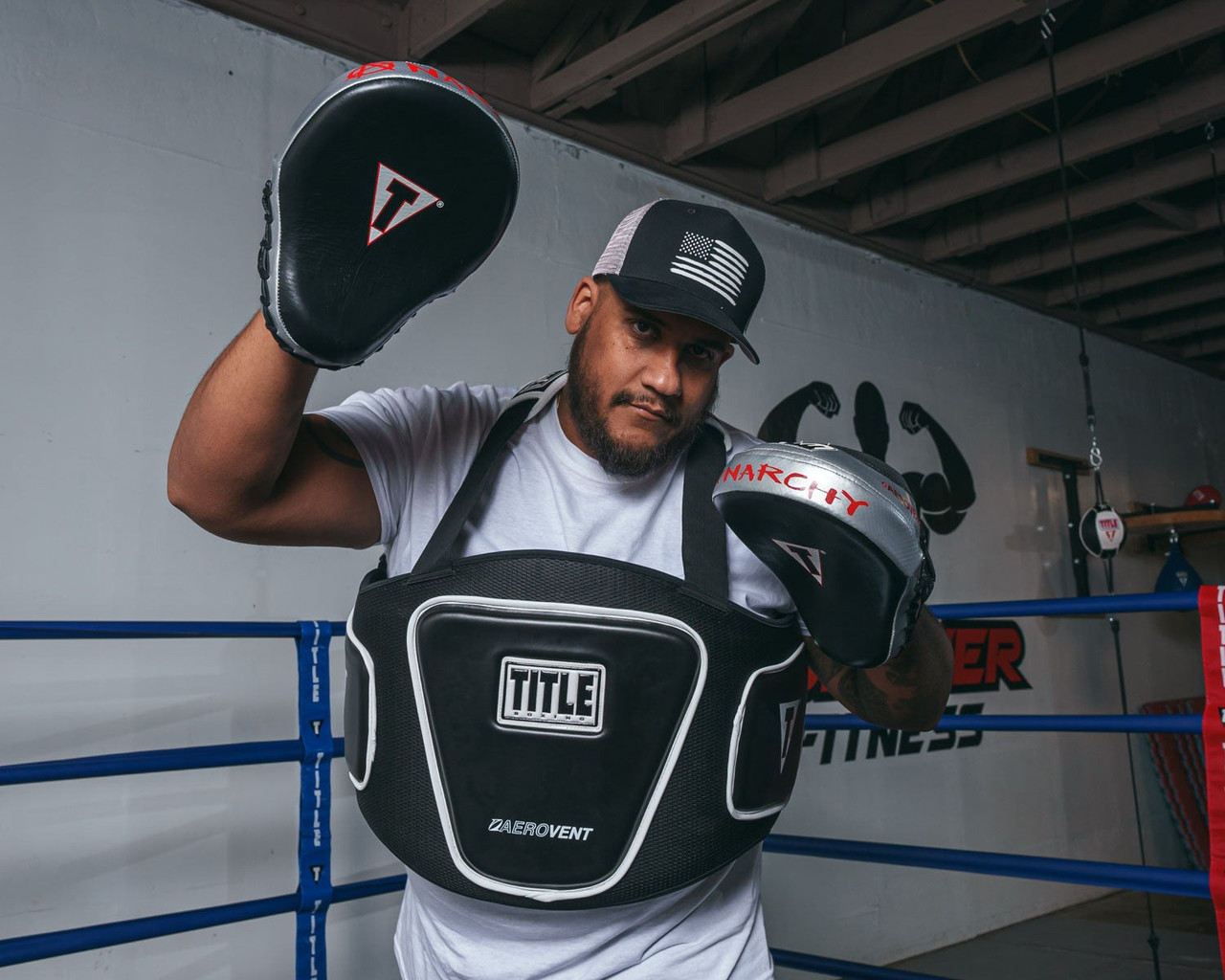 Лапи боксерські TITLE Boxing Aerovent Anarchy Punch Mitts Black/Silver