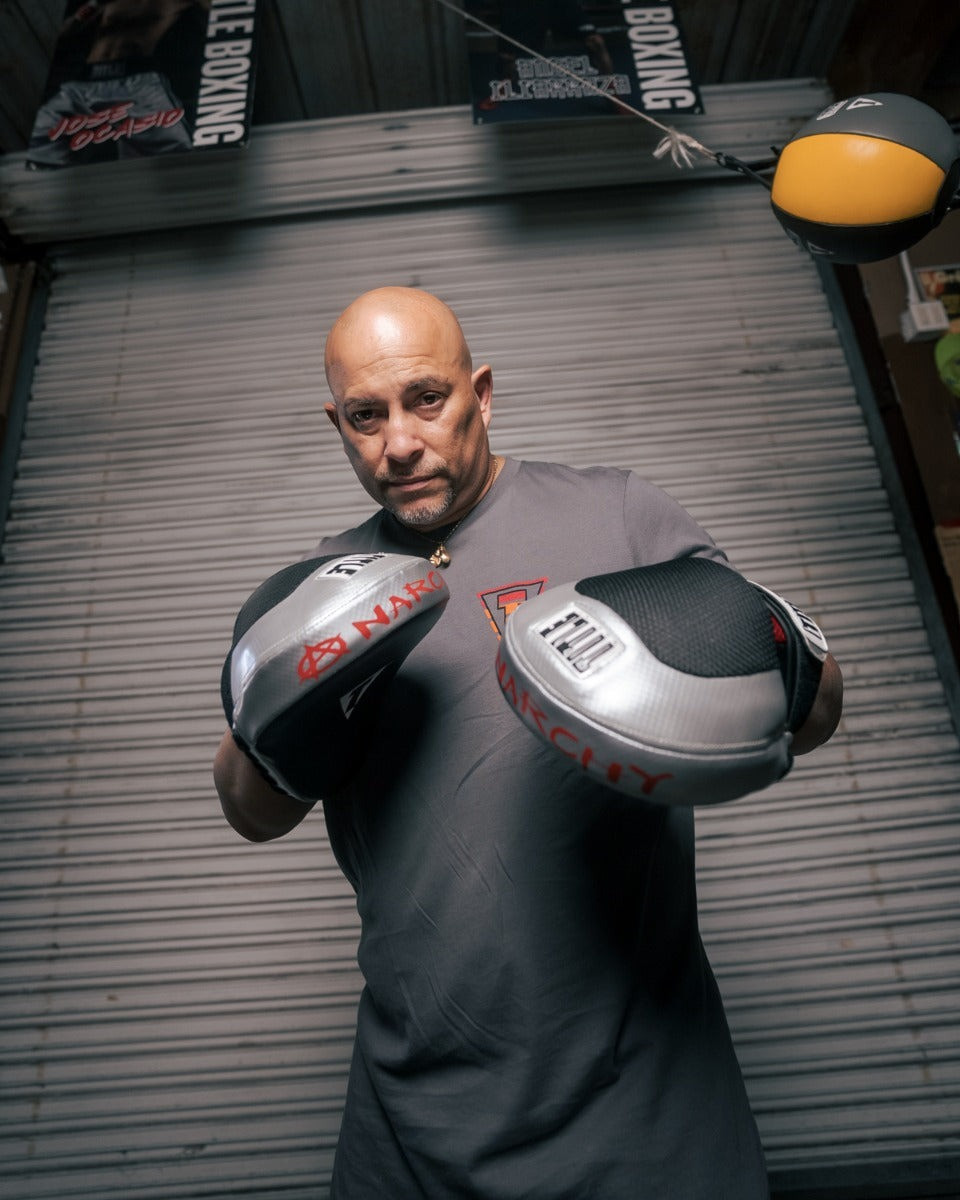Лапи боксерські TITLE Boxing Aerovent Anarchy Punch Mitts Black/Silver